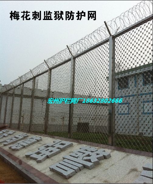 梅花刺监狱防护网